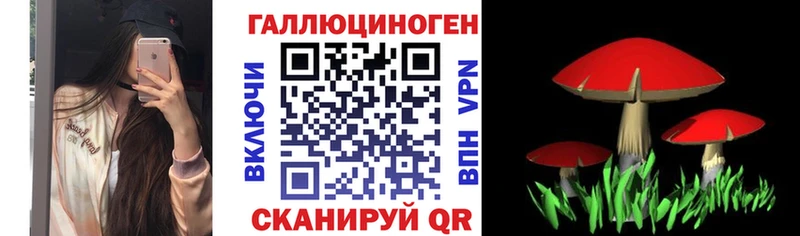 Псилоцибиновые грибы MAGIC MUSHROOMS  Тамбов 